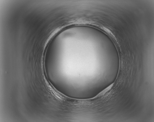 X0000051251183200507082142