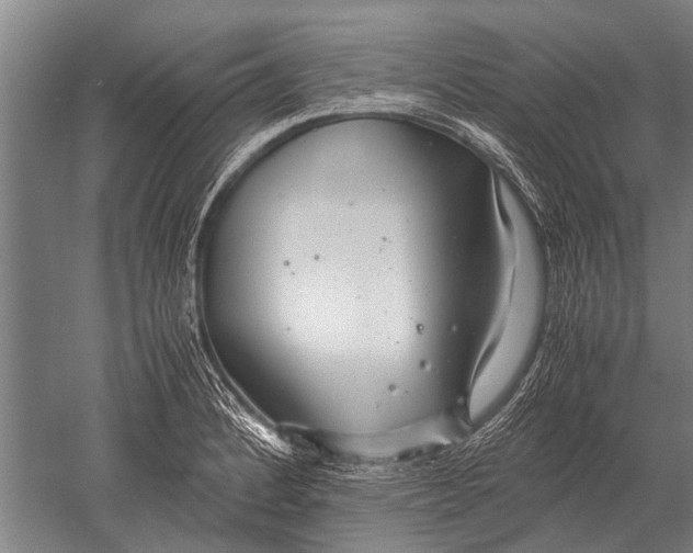 X0000051251184200507082142