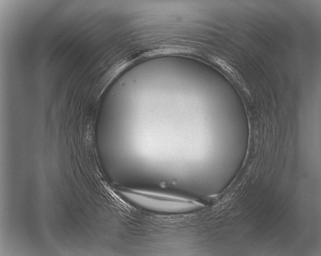 X0000051251185200507082142