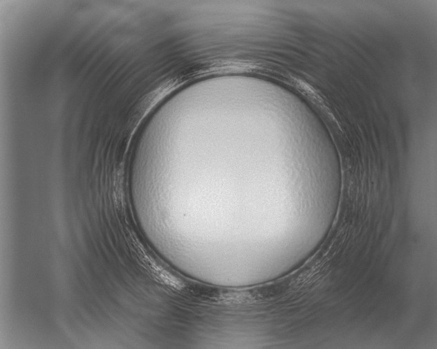 X0000051251186200507082142