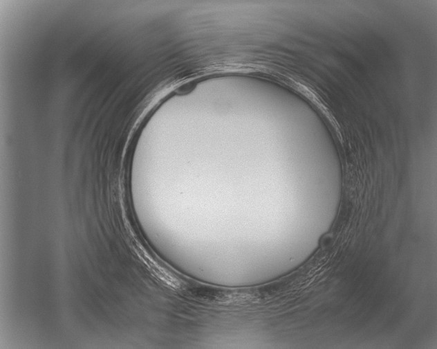 X0000051251187200507082142