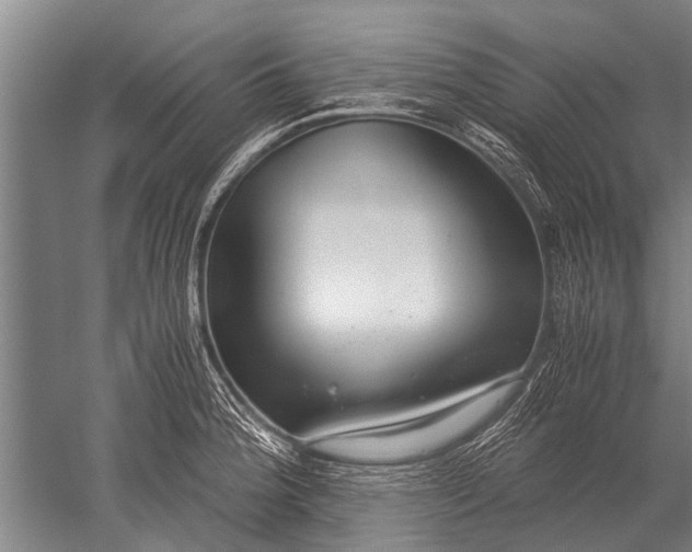 X0000051251188200507082142