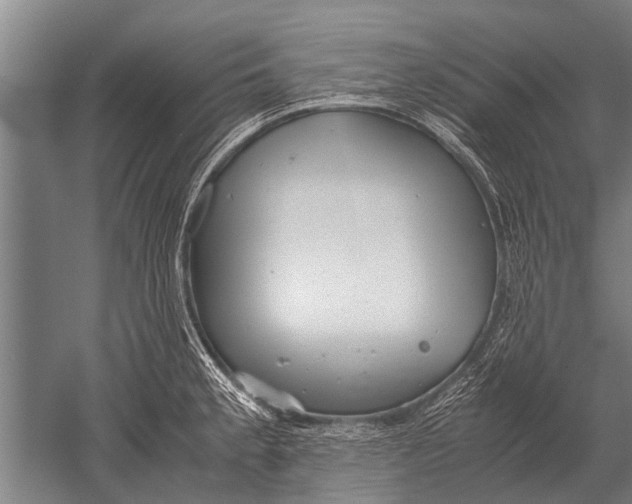 X0000051251189200507082142