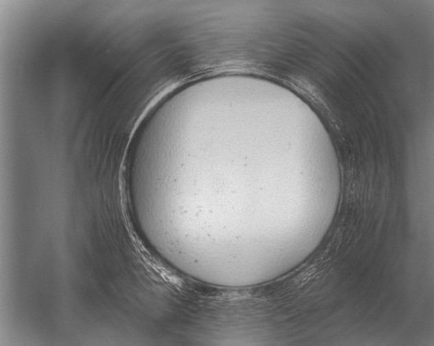 X0000051251190200507082142