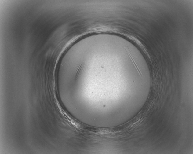 X0000051251191200507082142