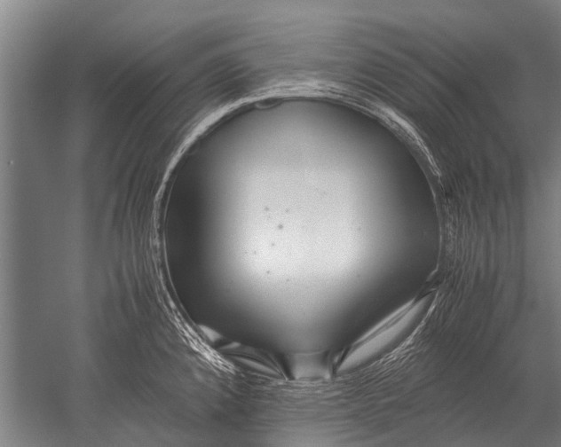 X0000051251192200507082142