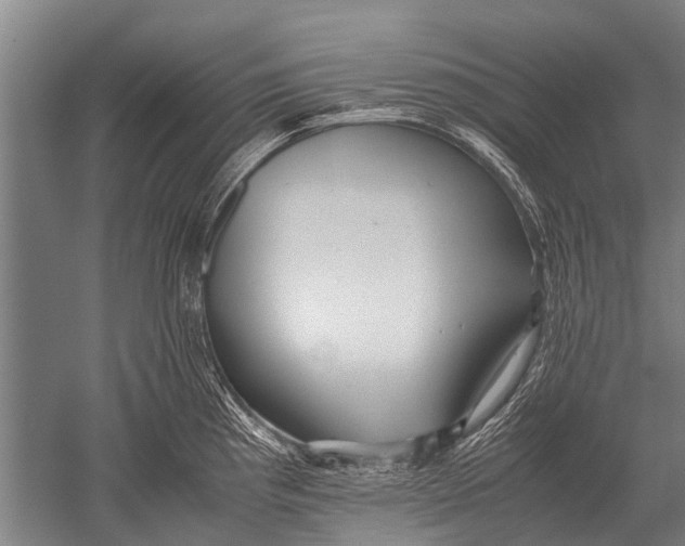 X0000051251193200507082142