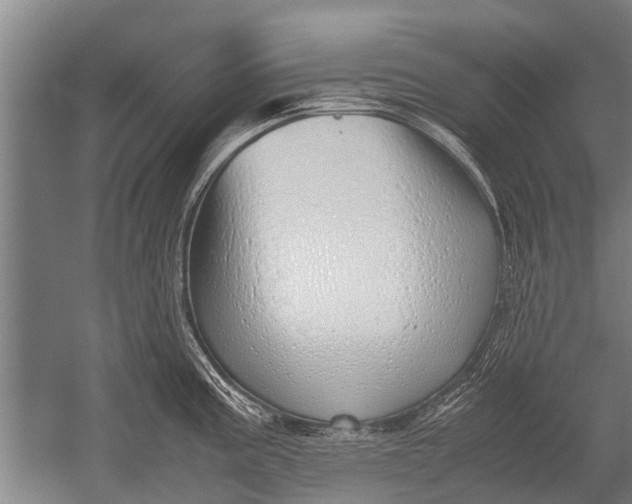 X0000051251195200507082142