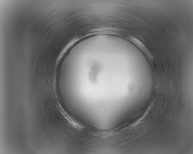 X0000051251196200507082142