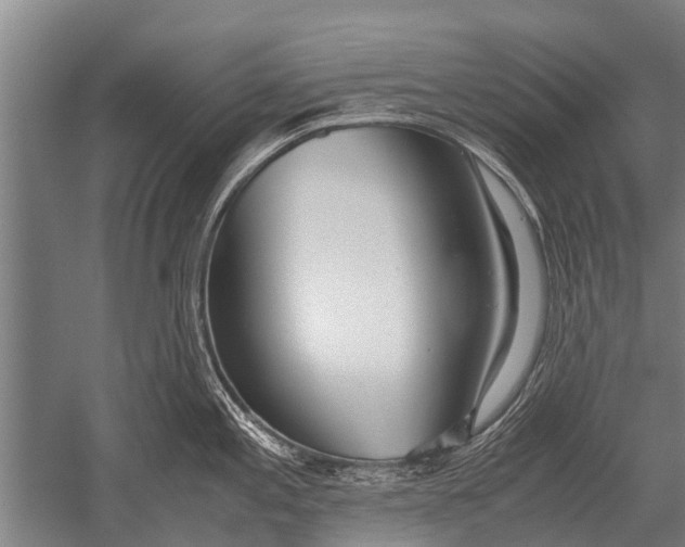 X0000051251197200507082142