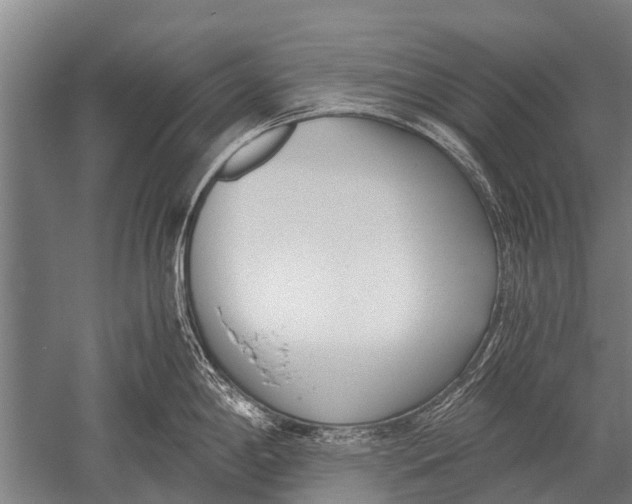 X0000051251198200507082142