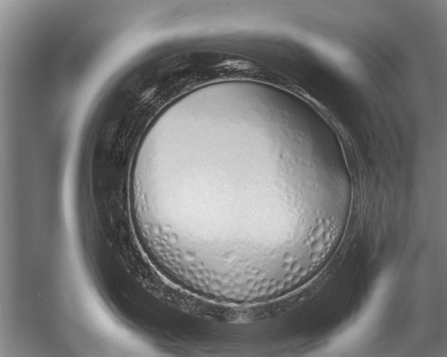 X0000051251199200507082142