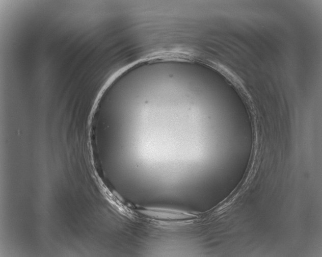 X0000051251200200507082142