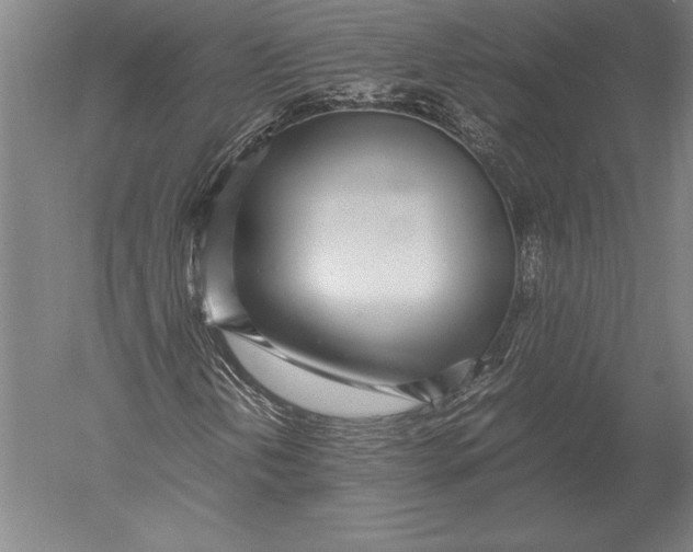 X0000051251202200507082141