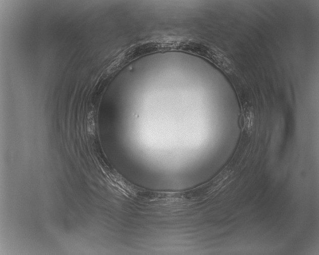 X0000051251204200507082141