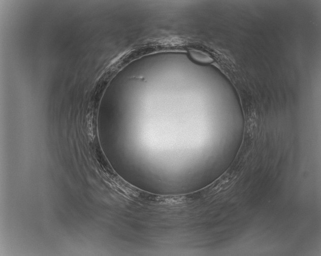 X0000051251205200507082141