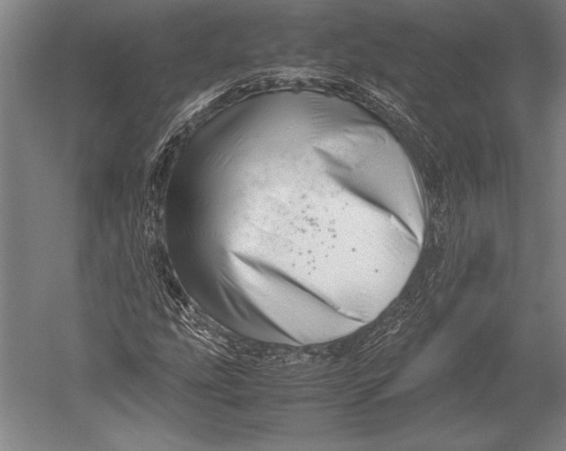 X0000051251207200507082141