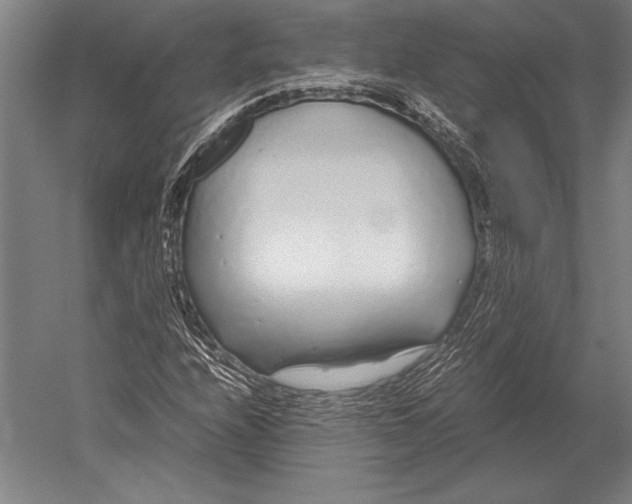 X0000051251208200507082141