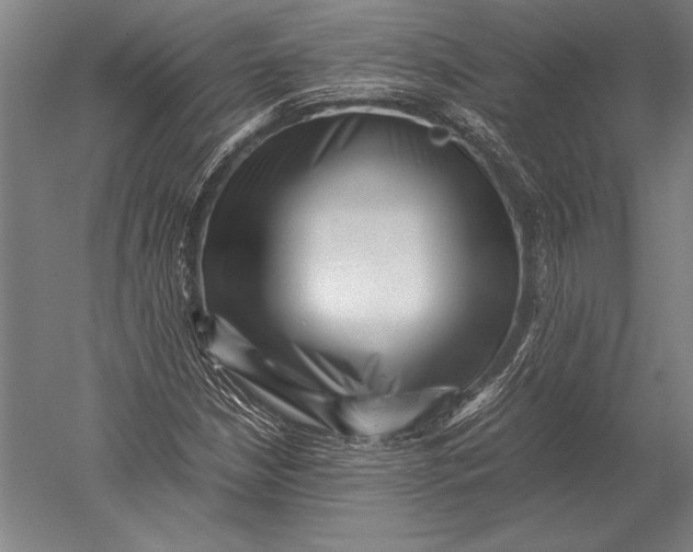 X0000051251210200507082141