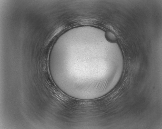 X0000051251211200507082141