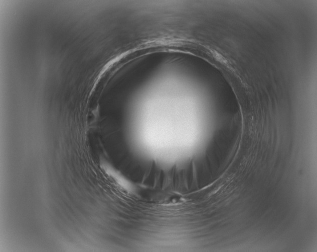 X0000051251214200507082141