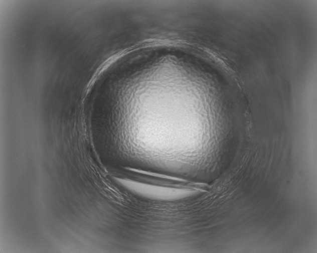 X0000051251215200507082141