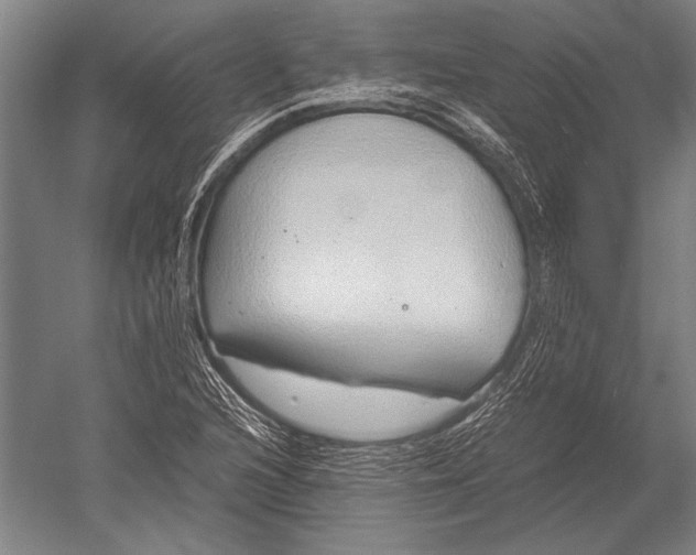 X0000051251216200507082141