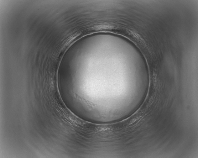 X0000051251217200507082141