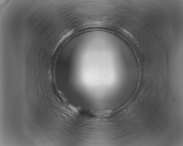 X0000051251218200507082141