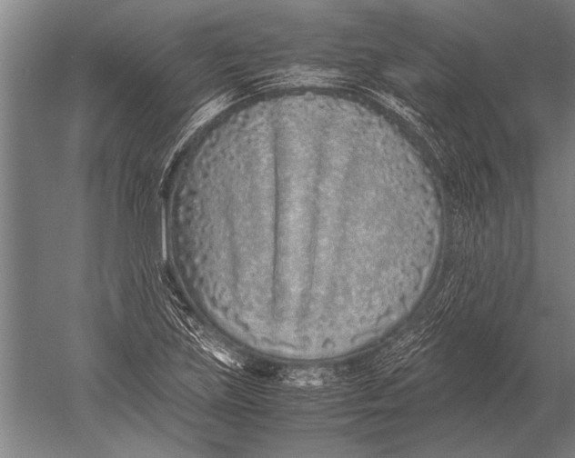 X0000051251219200507082141