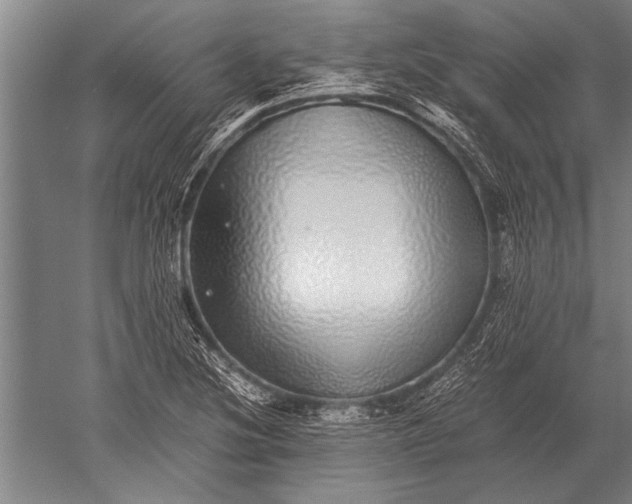 X0000051251220200507082141