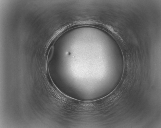 X0000051251221200507082141