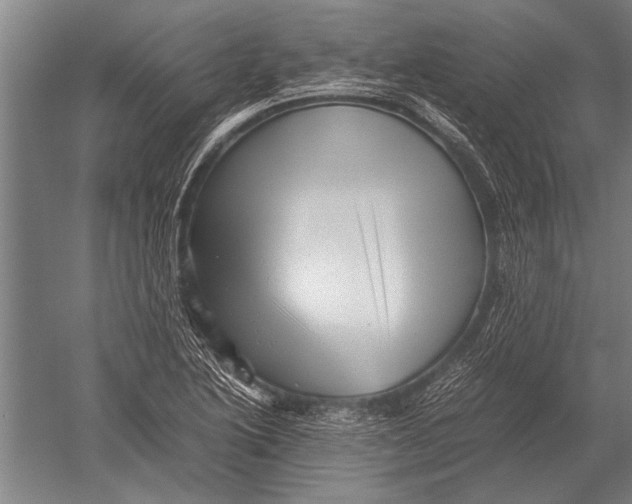 X0000051251222200507082141