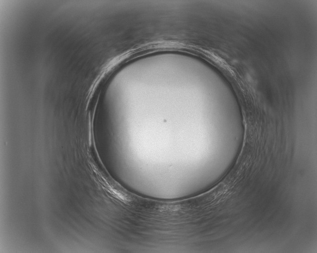 X0000051251223200507082141