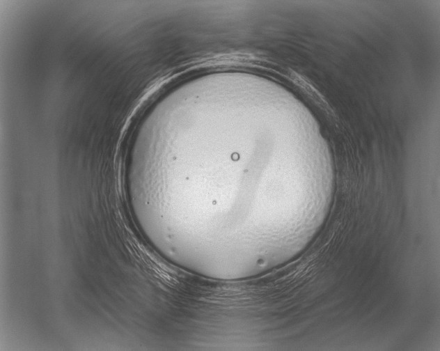 X0000051251224200507082141