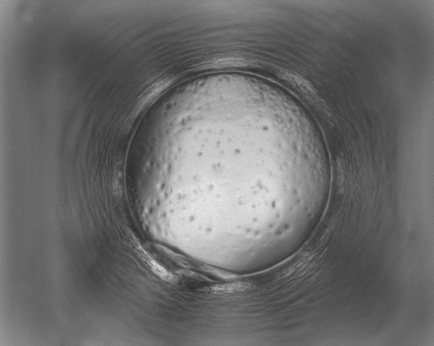 X0000051251225200507082141