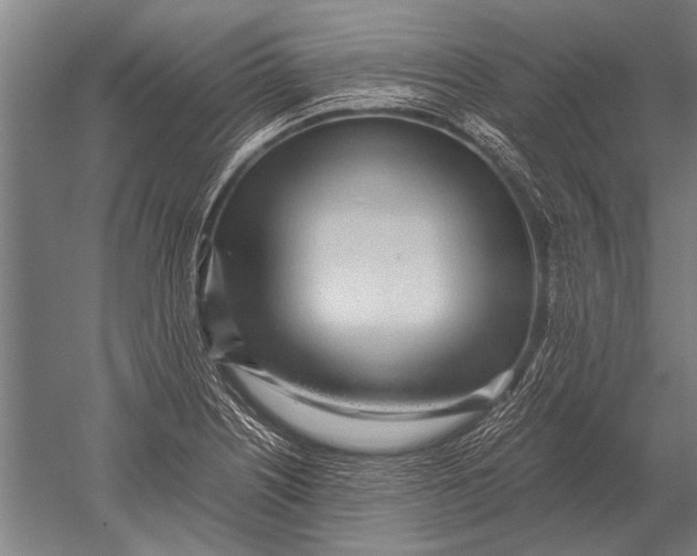 X0000051251226200507082141