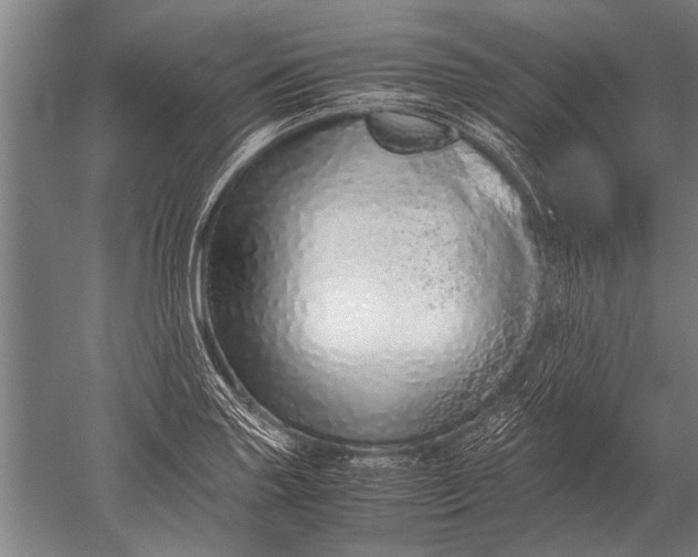 X0000051251227200507082142