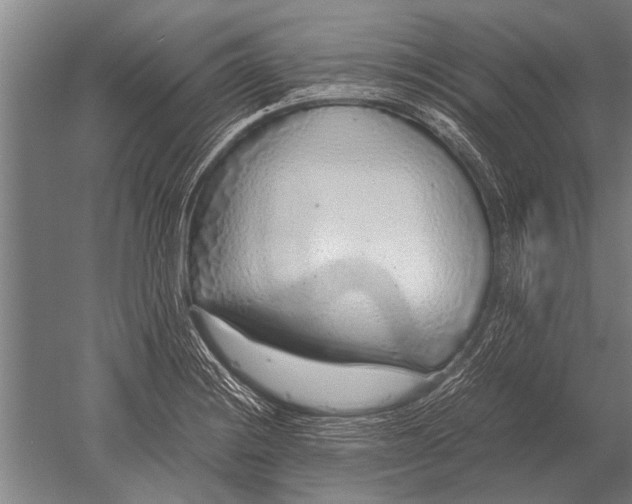 X0000051251228200507082142