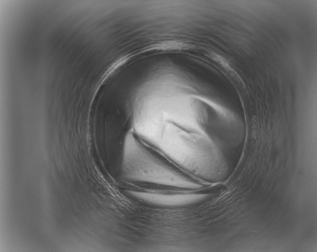 X0000051251229200507082142