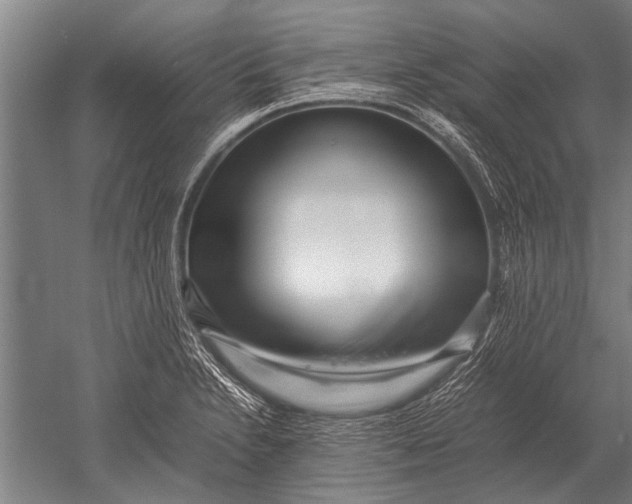 X0000051251230200507082142