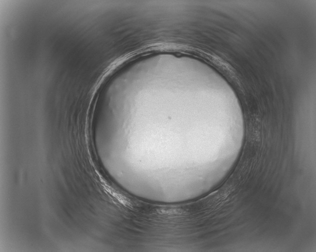 X0000051251231200507082142