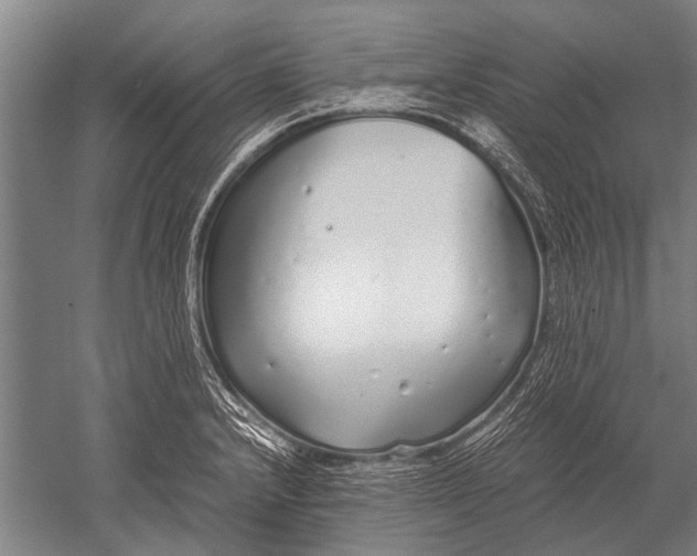 X0000051251232200507082142