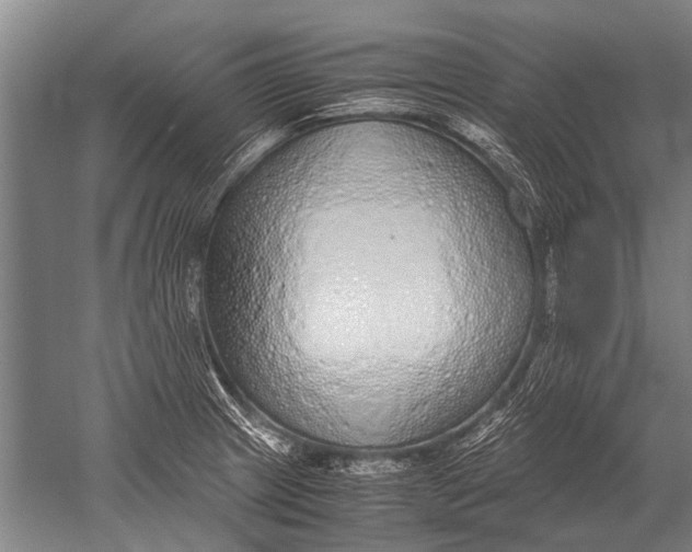 X0000051251233200507082142