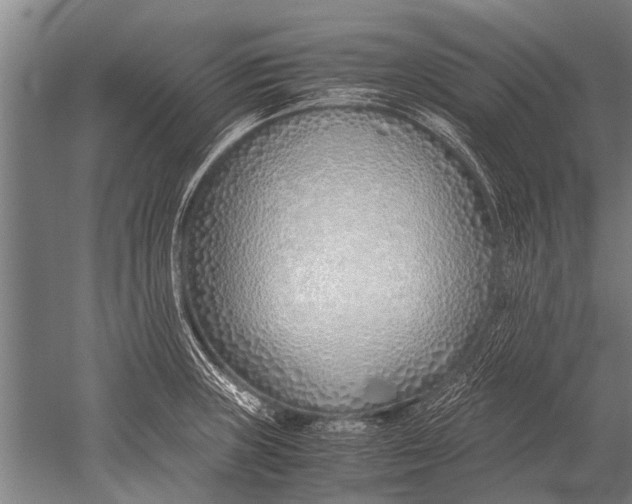 X0000051251235200507082142