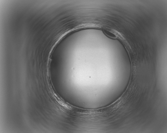 X0000051251236200507082142