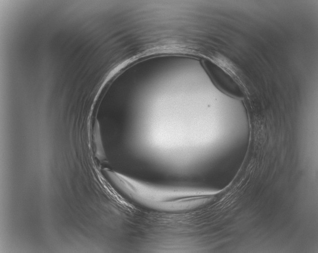 X0000051251238200507082142