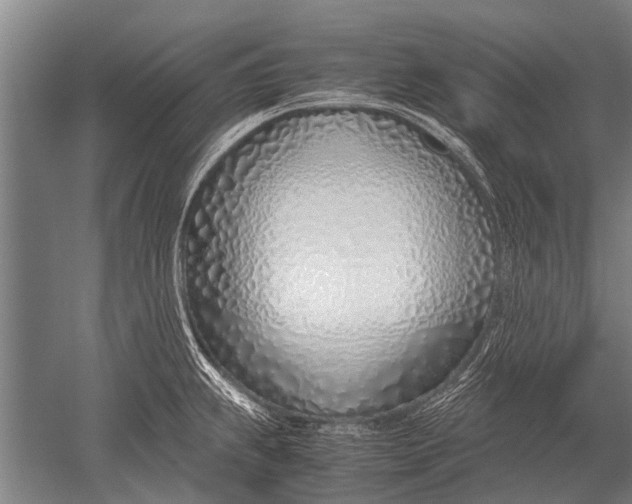 X0000051251239200507082142