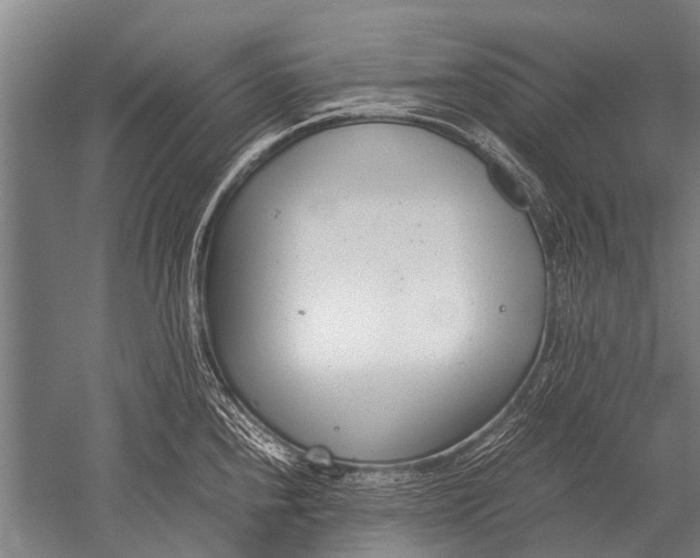 X0000051251240200507082142