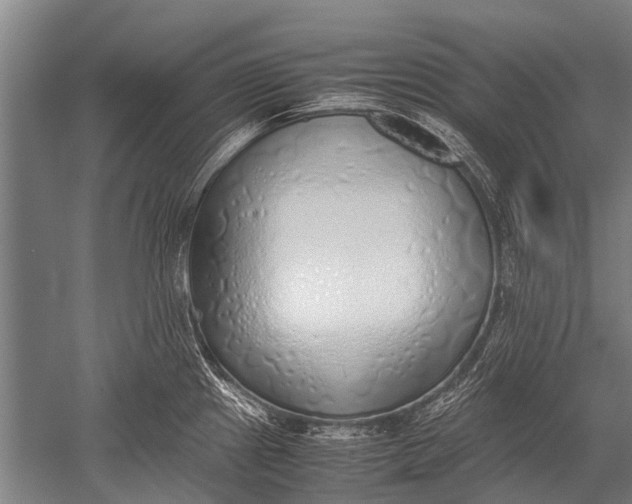 X0000051251241200507082142